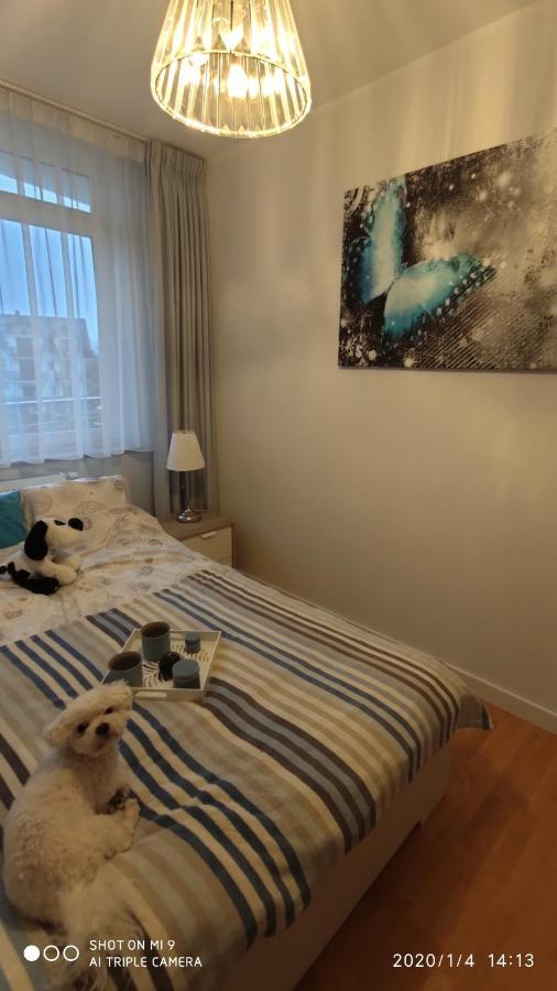 Fregata Apartment Jastrzebia Gora Bagian luar foto